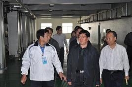 河北省委常委、副省長楊崇勇到我公司視察